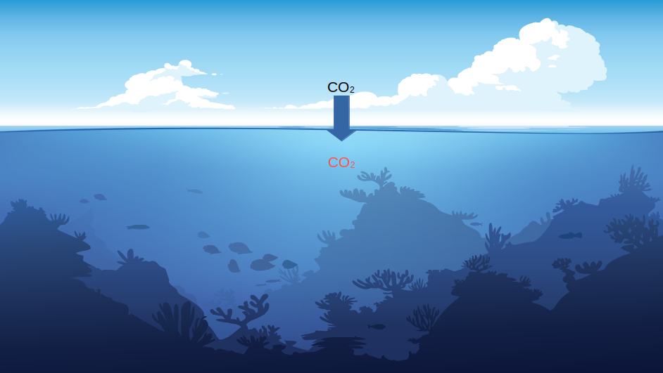 Physical process of CO2 dissolves into Oceans