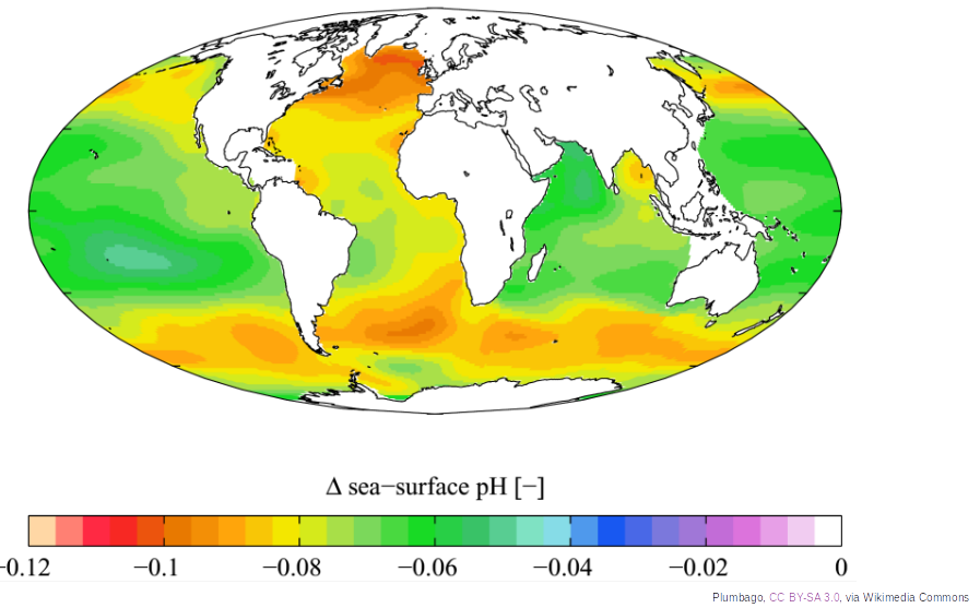 variations in ocean surface acidity