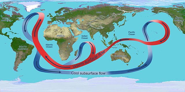 Map of the thermohaline circulation